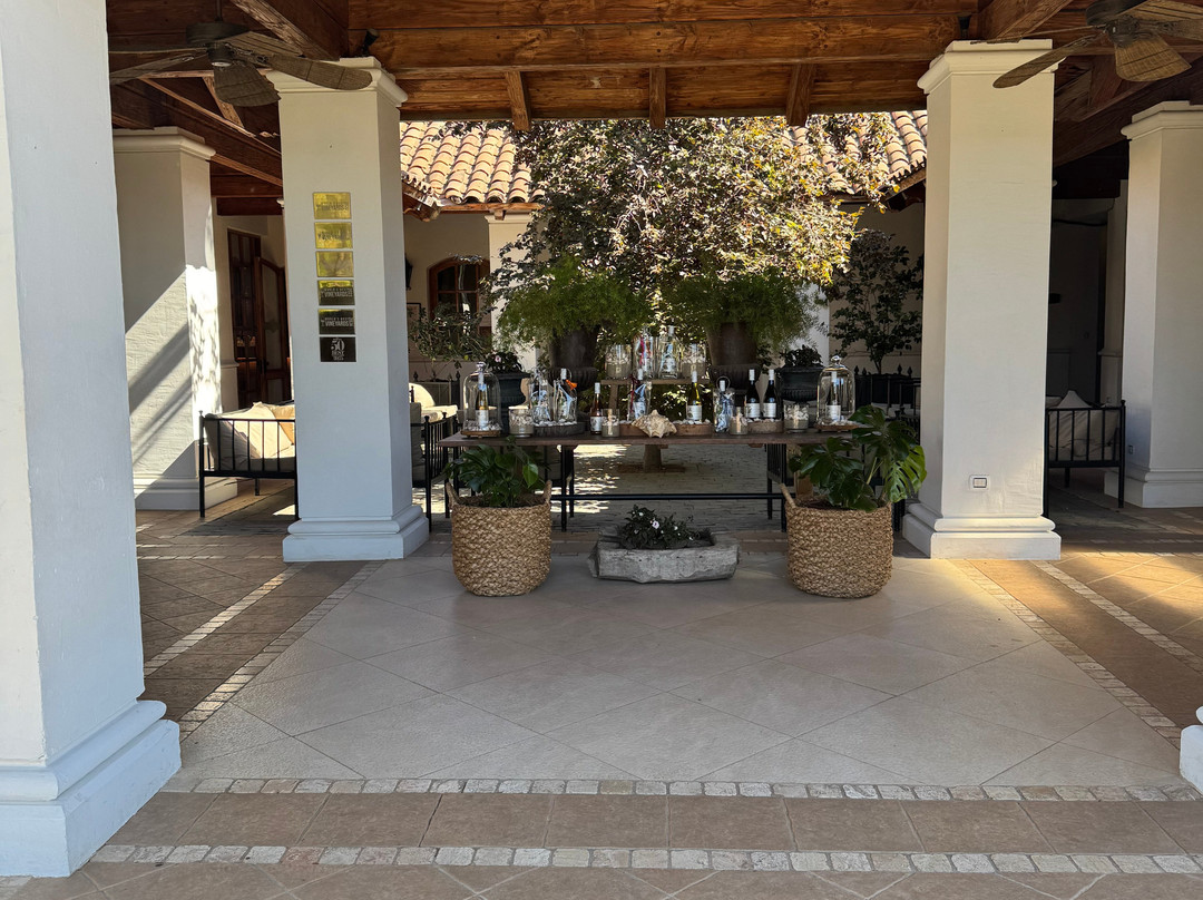 Casas del Bosque-卡萨布兰卡必去景点