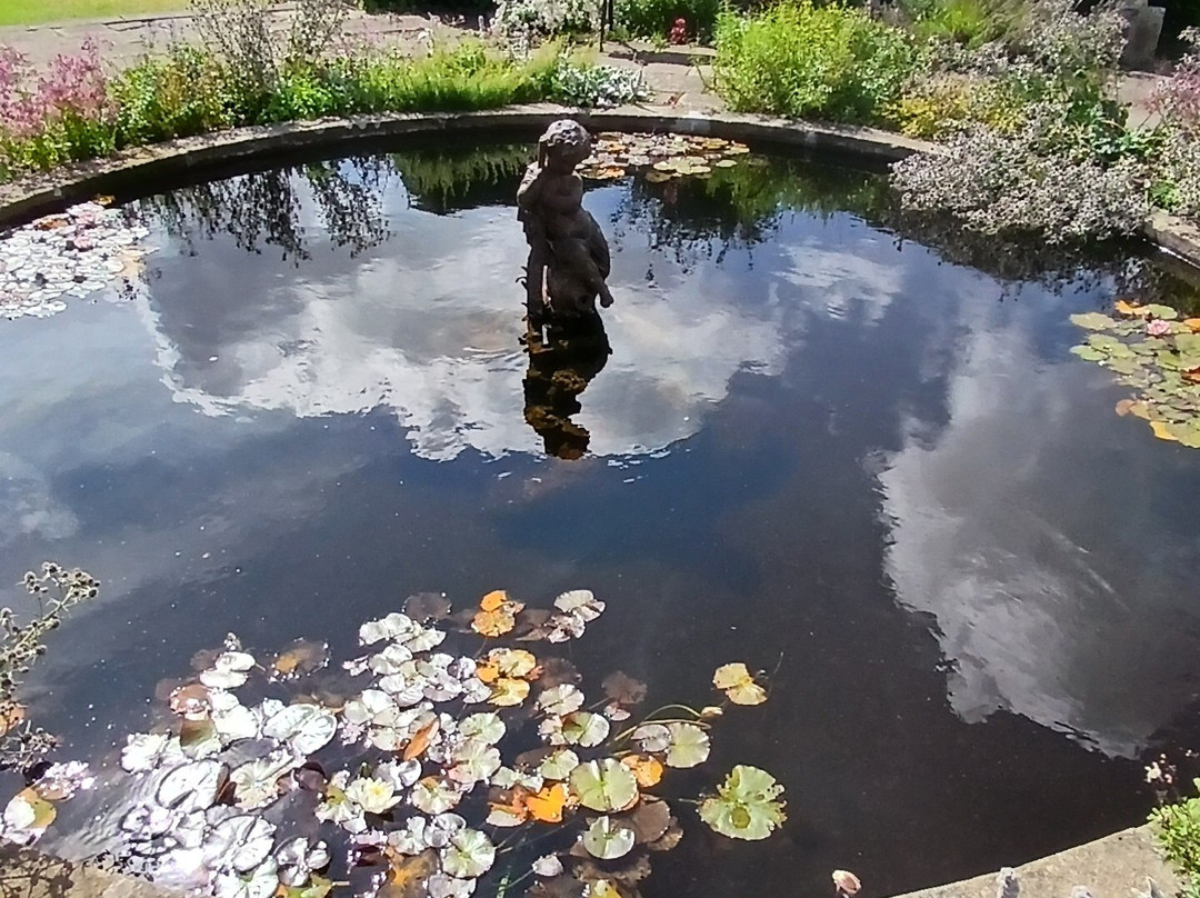 Howick Hall Gardens & Arboretum-阿尼克必去景点