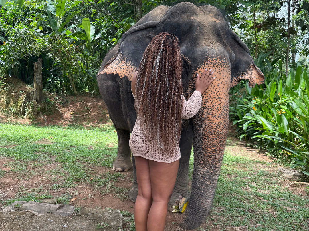 The Lake Phuket Elephant Home-Thep Krasatti必去景点