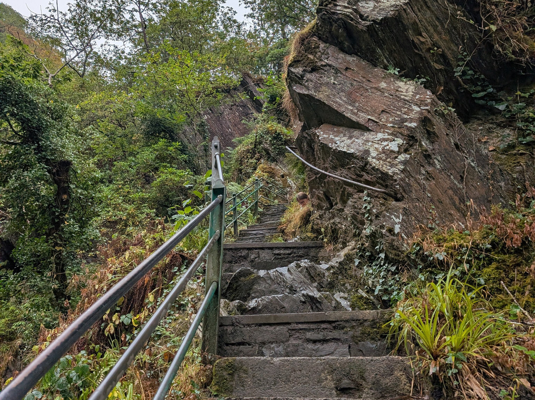 Devil's Bridge Waterfalls-Devil's Bridge (Pontarfynach)必去景点