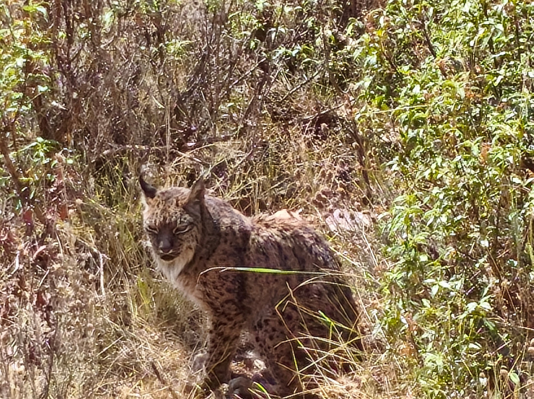 Parque de Fauna La Maleza-Tramacastilla必去景点