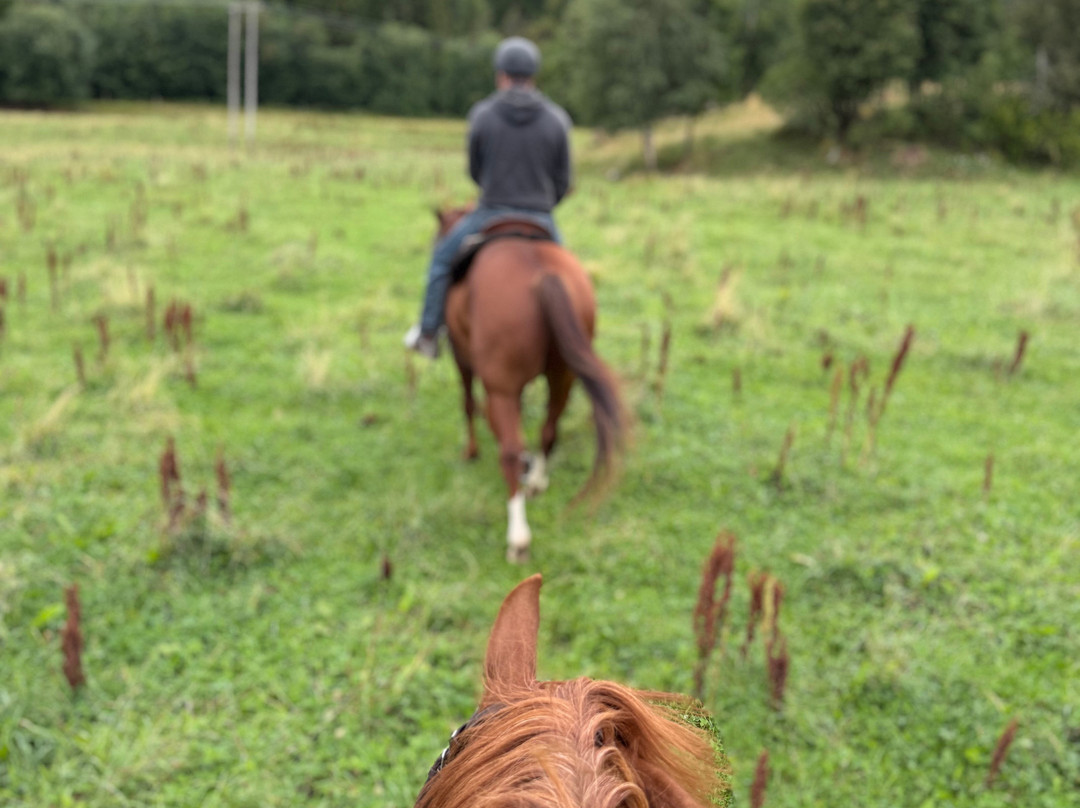 Inderøy Adventure