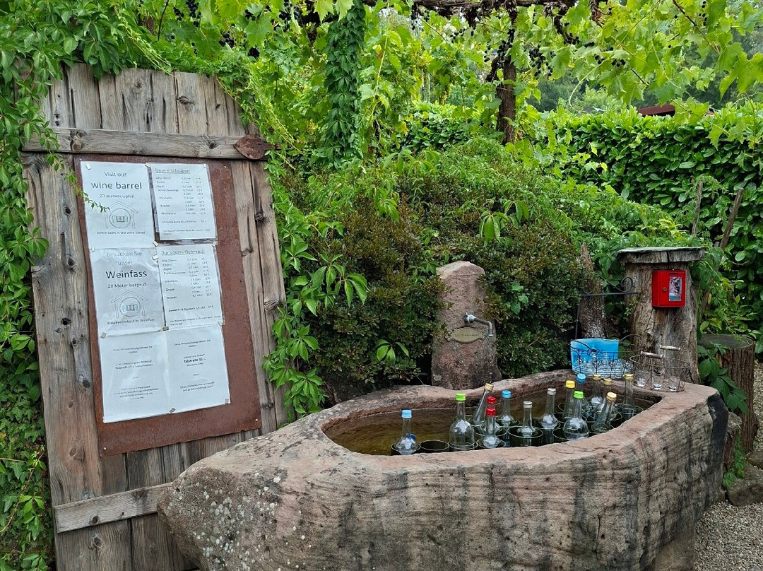Shcnapsbrunnenweg-Sasbachwalden必去景点