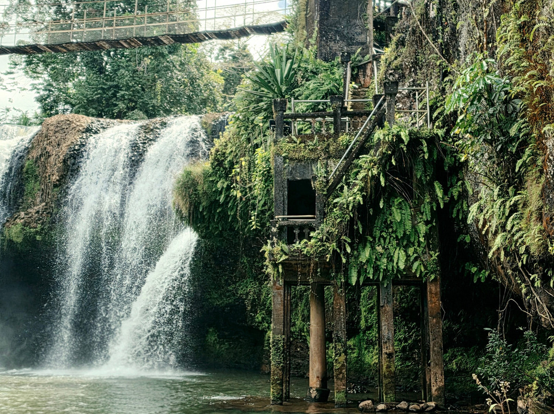 Paronella Park-米娜溪必去景点