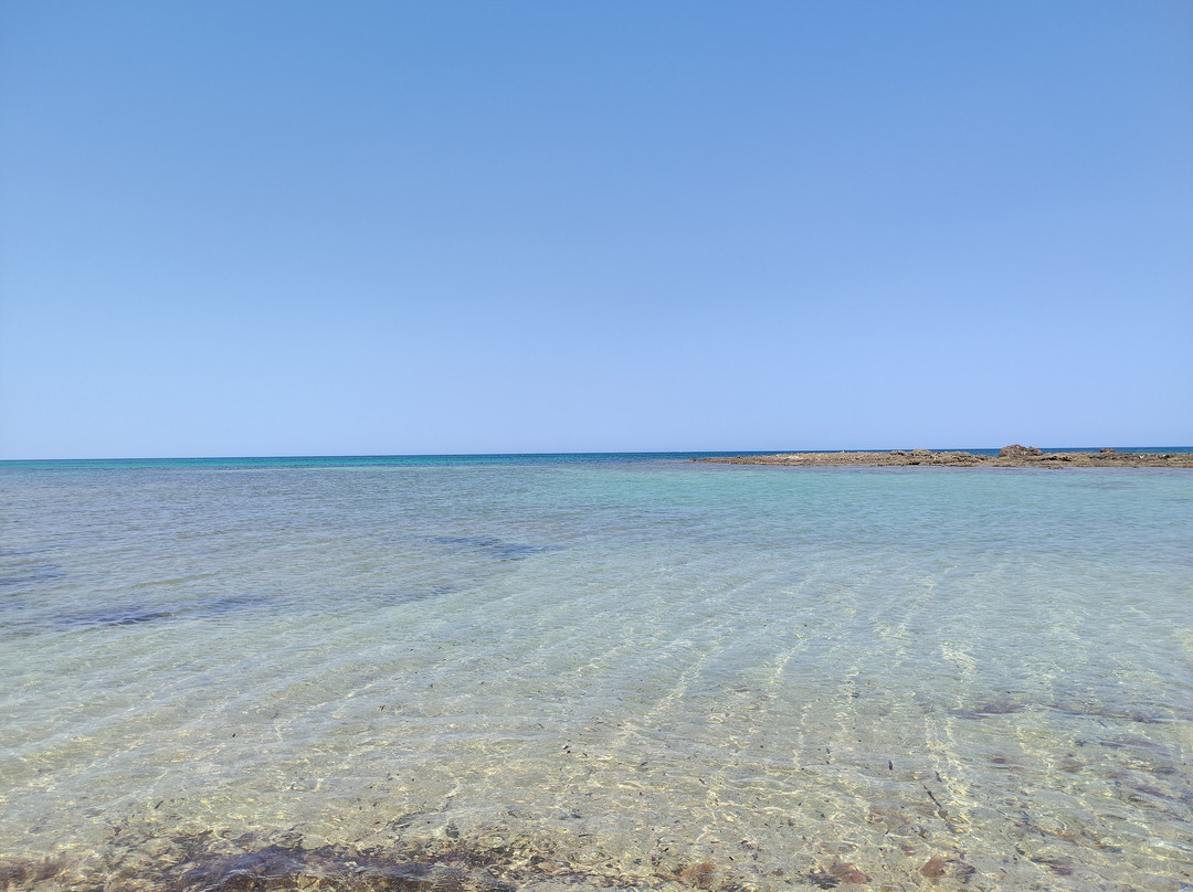 Spiaggia Torre Guaceto-Carovigno必去景点