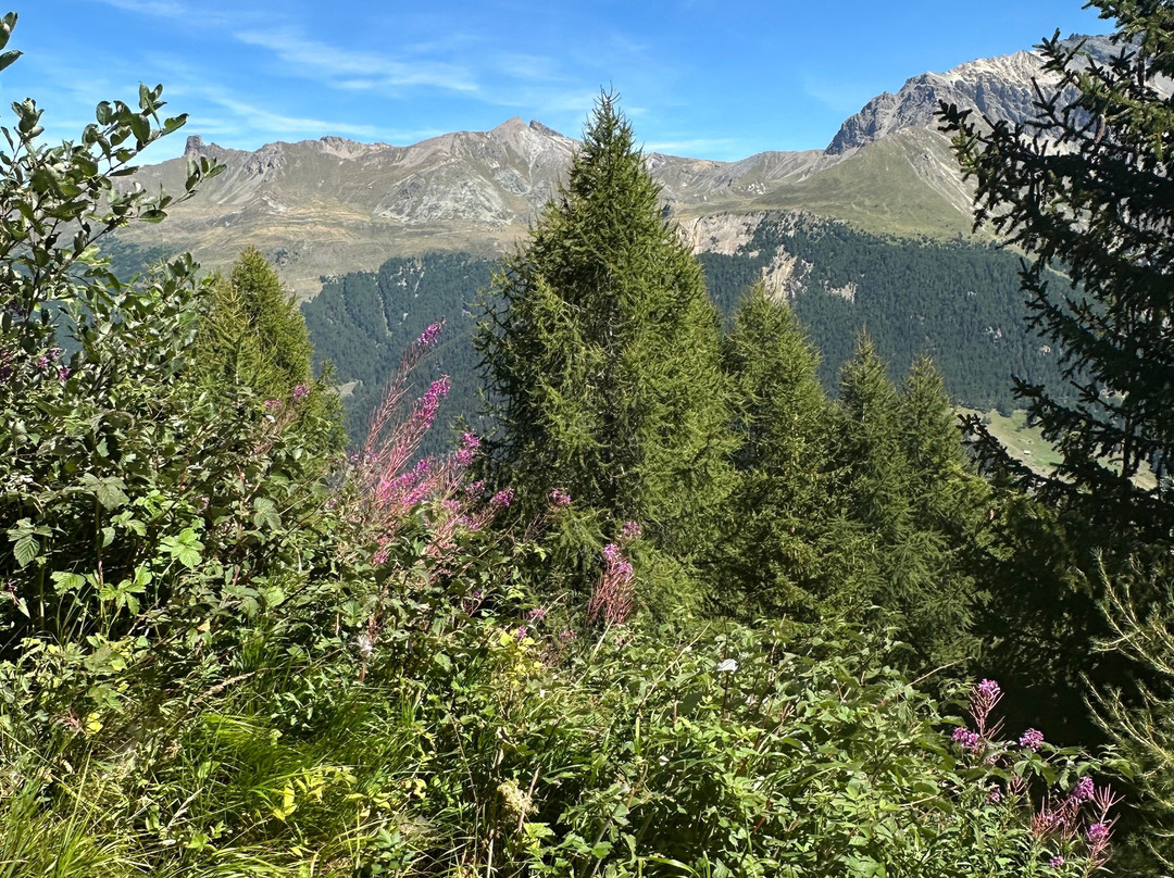 Evolène Région Tourisme-Evolene必去景点
