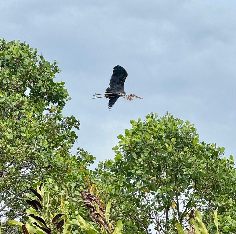Wildlife Wonders Sri Lanka-唐卡拉必去景点
