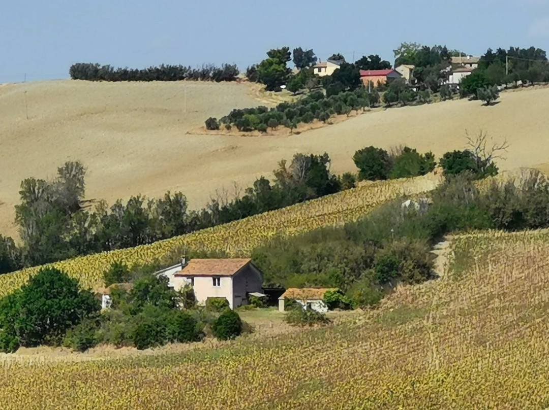 Castello di Castiglioni-Arcevia必去景点