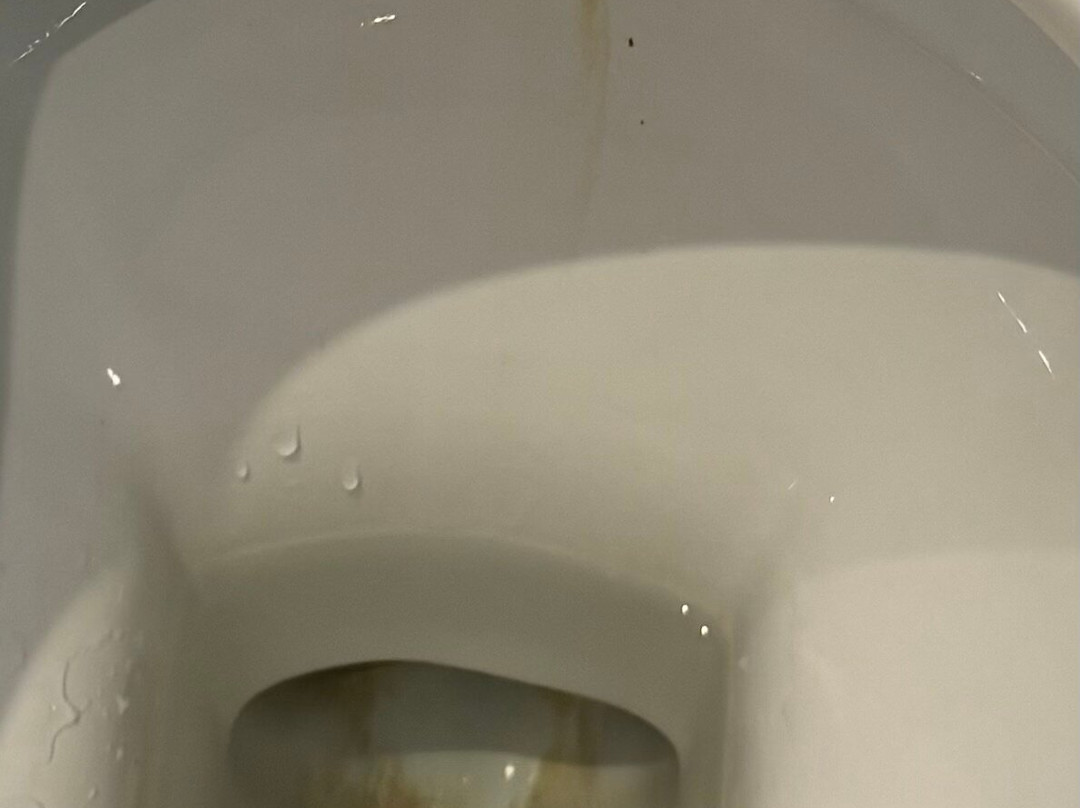 阿姆斯特丹竞技场OZO酒店主图