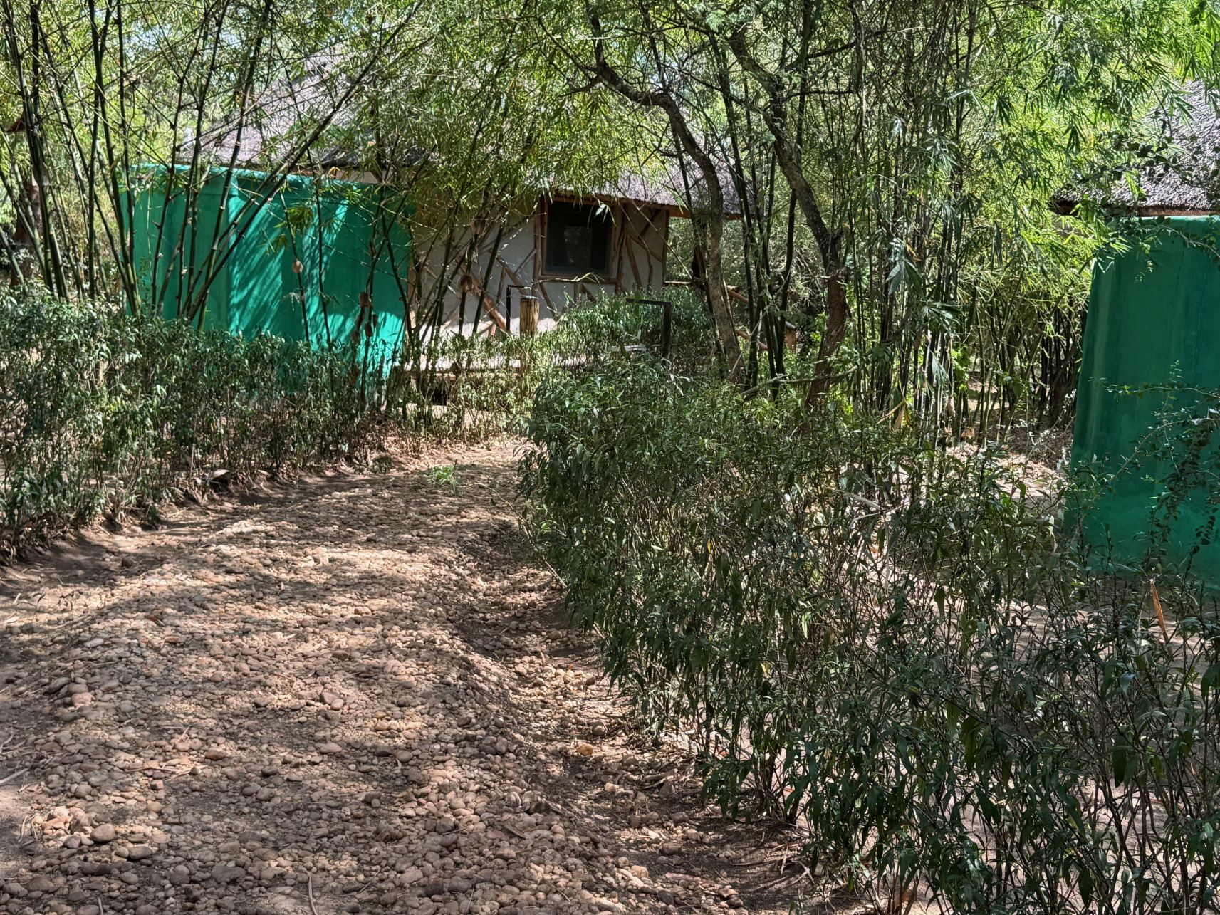 Murchison Falls Bamboo Village-客卧