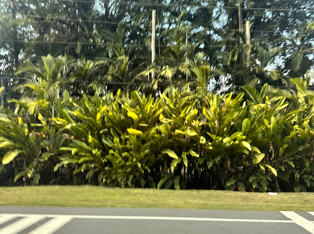Travel Jamaica Tours-奥乔里奥斯必去景点
