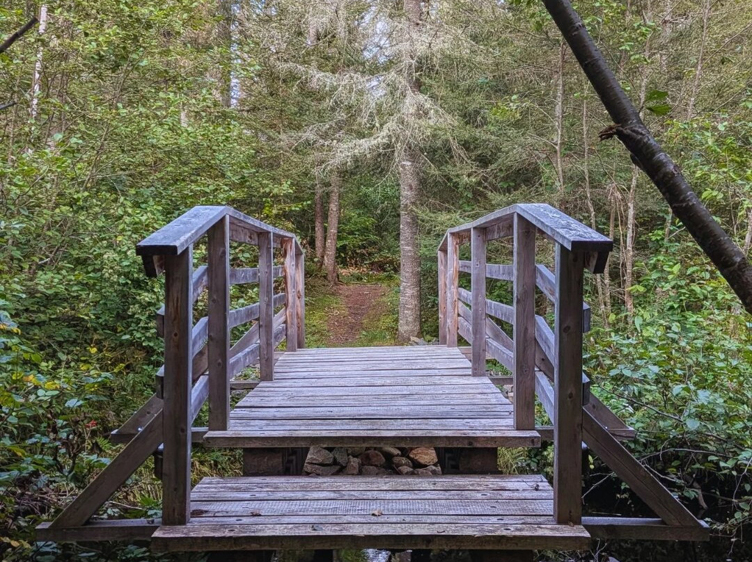 Sentier Pédestre Boisé Joseph BB Gauthier-Lac-Saguay必去景点