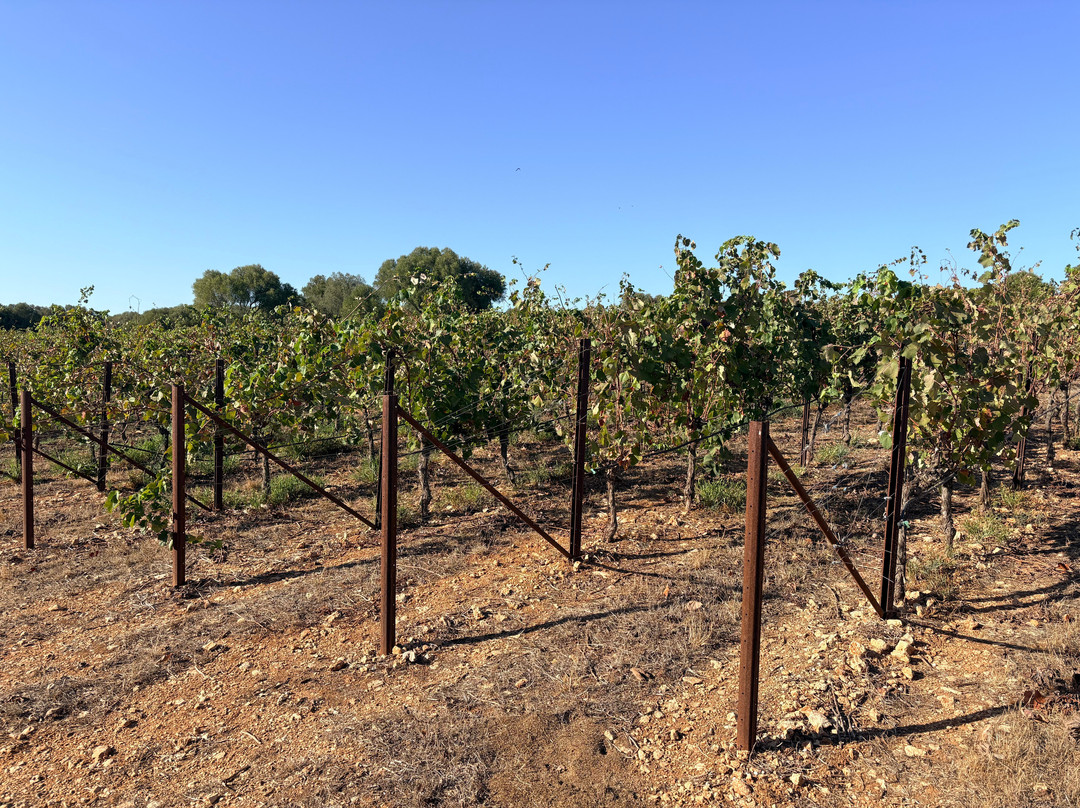 Bodegas Torralbenc-Cala en Porter必去景点
