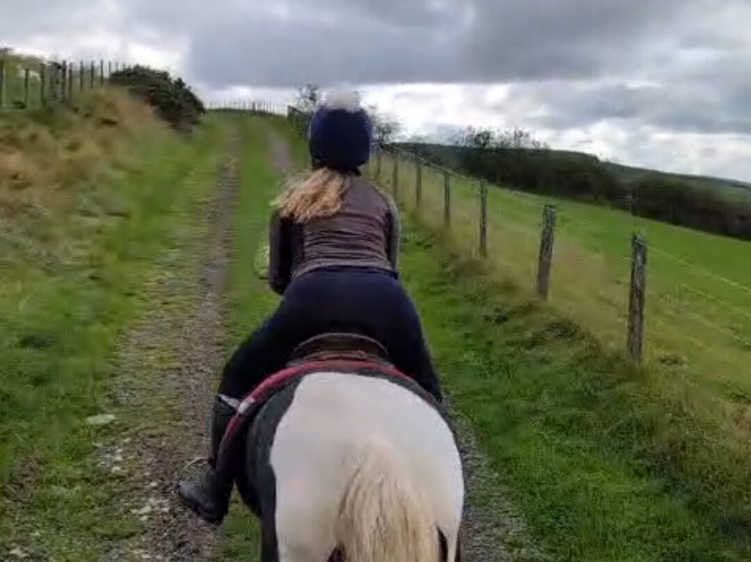 Saddle Tramps Trail Riding-Lampeter必去景点