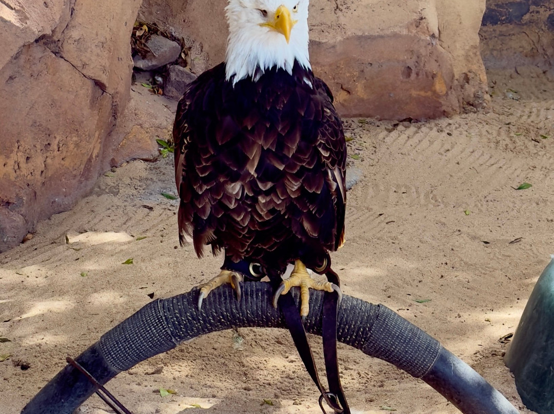 Park Las Aquilas Jungle Park-阿罗纳必去景点