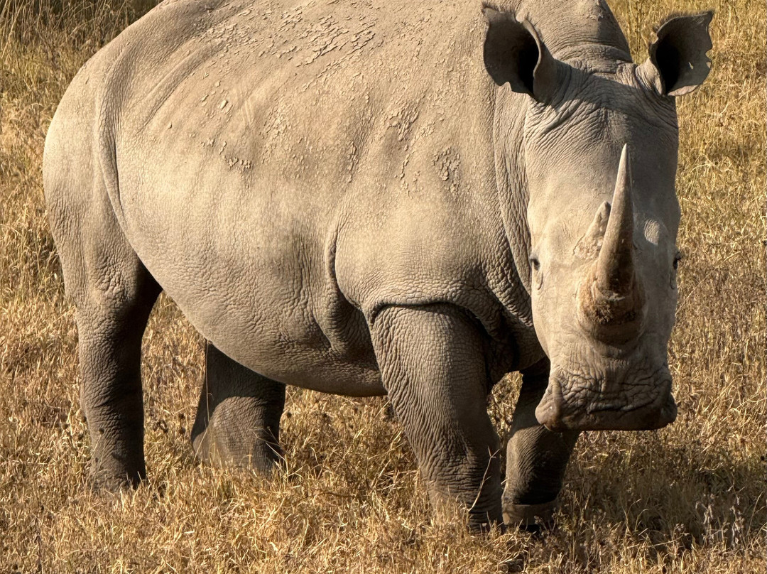 East Africa Adventure Tours and Safaris-马赛马拉国家野生动物保护区必去景点