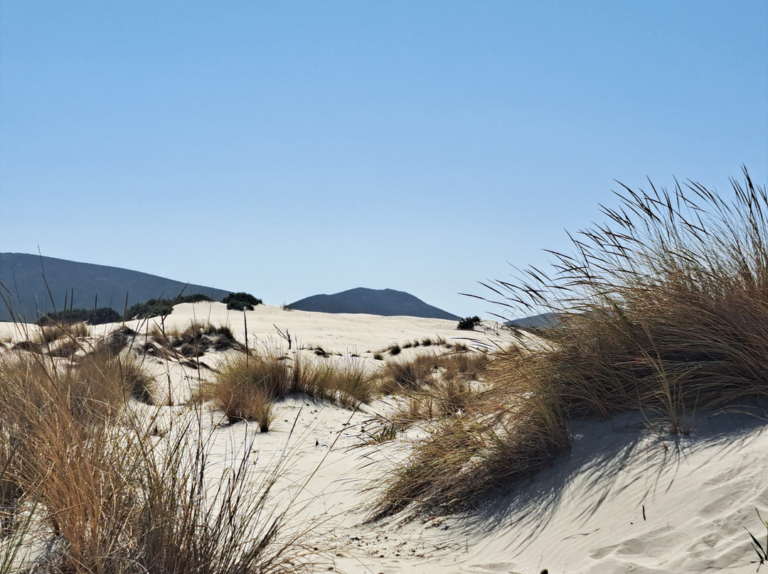 Spiaggia Porto Pino-Sant'Anna Arresi必去景点