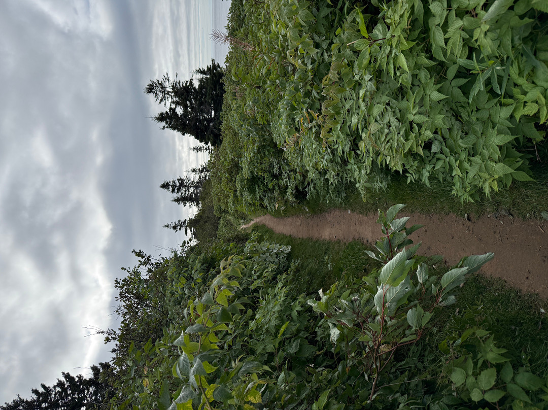 Sentier Les Graves