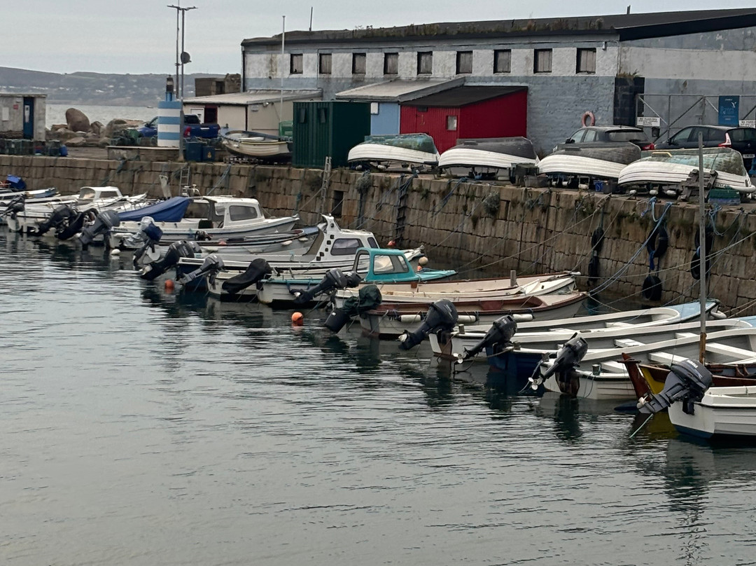 Bulloch Harbour-达尔基必去景点