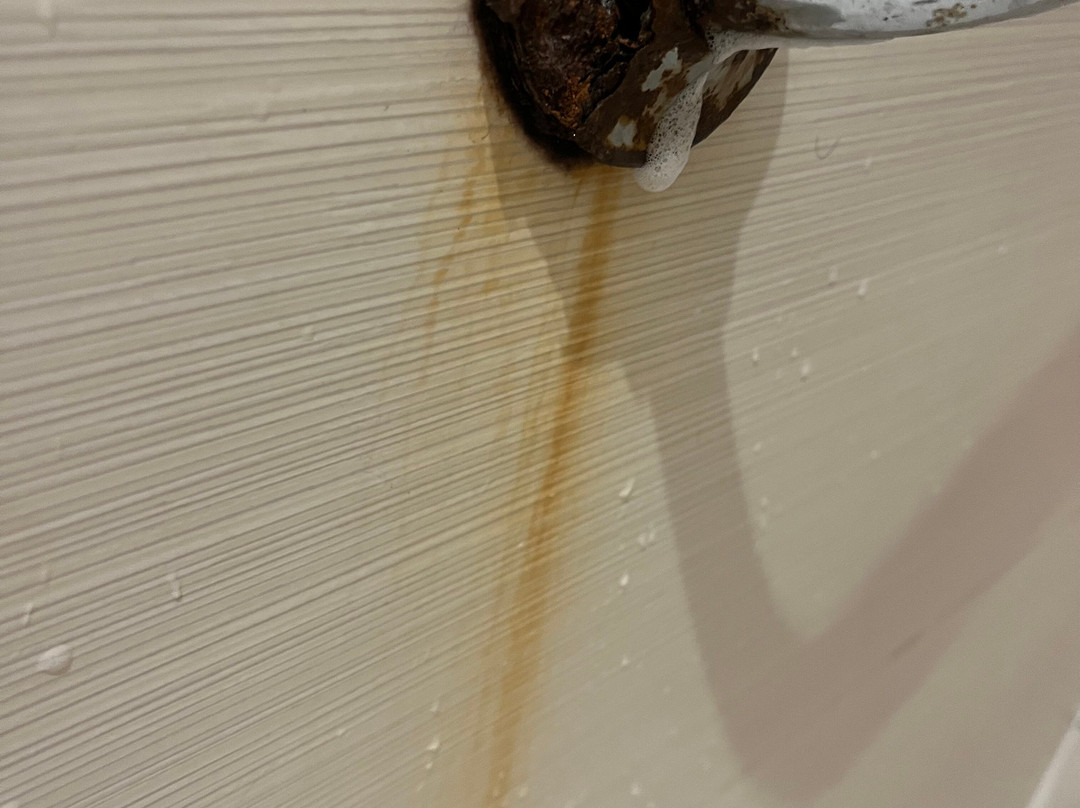 阿瓦德斯内华达皇宫酒店主图