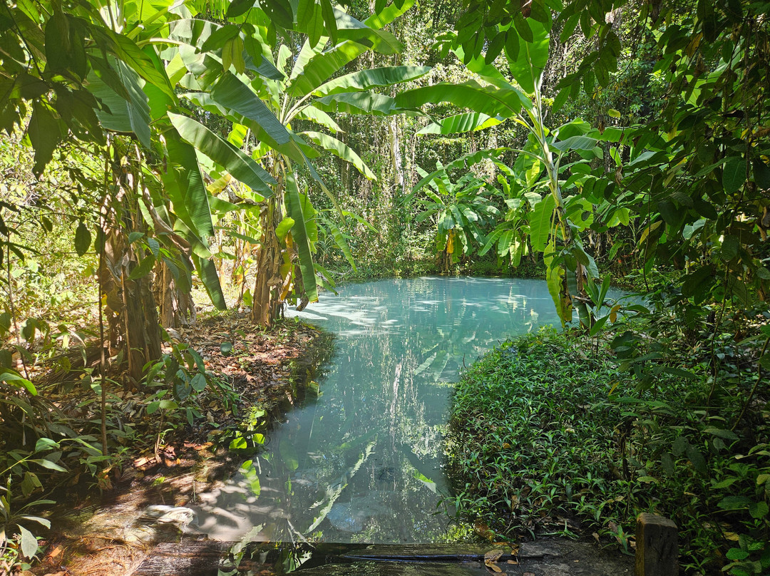 Lacos do Jalapao-Jalapao State Park必去景点