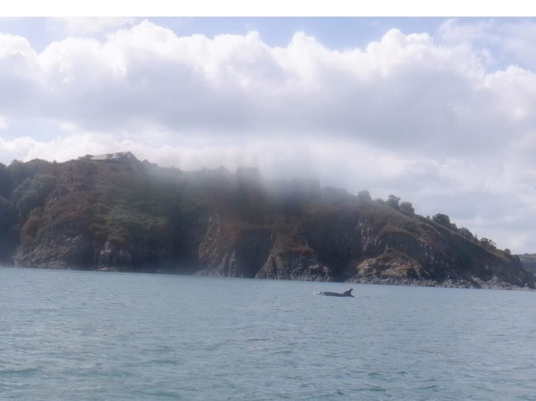 Mayberry Kayaking-Goodwick必去景点