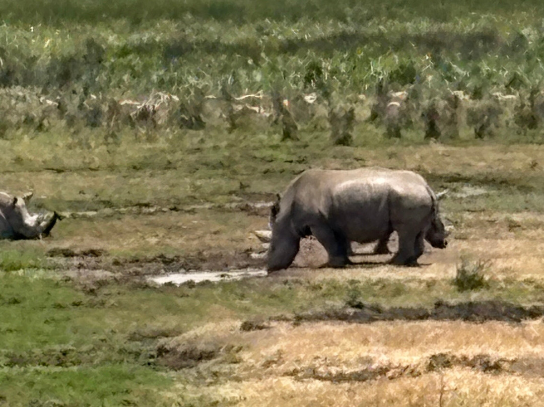 Zara Tanzania Adventures-莫西必去景点