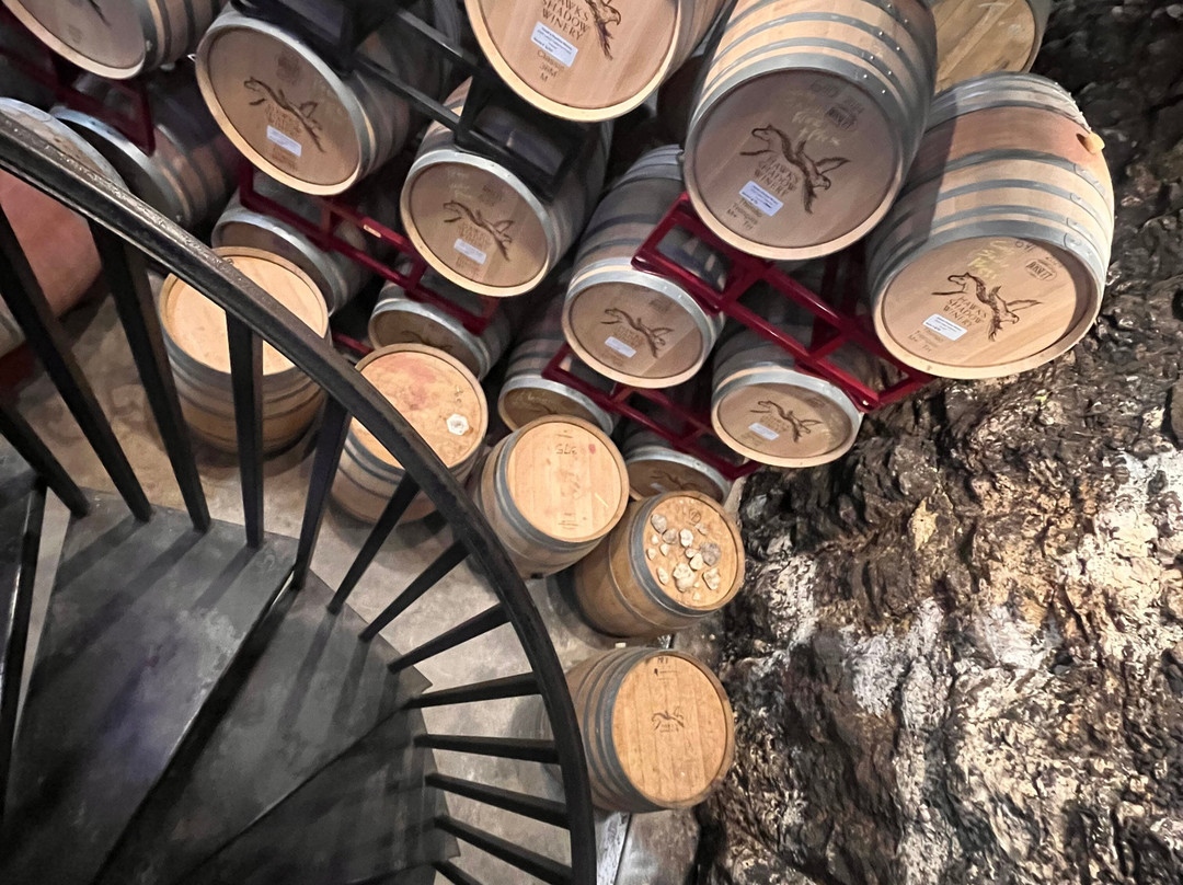 Hawk's Shadow Winery-Dripping Springs必去景点