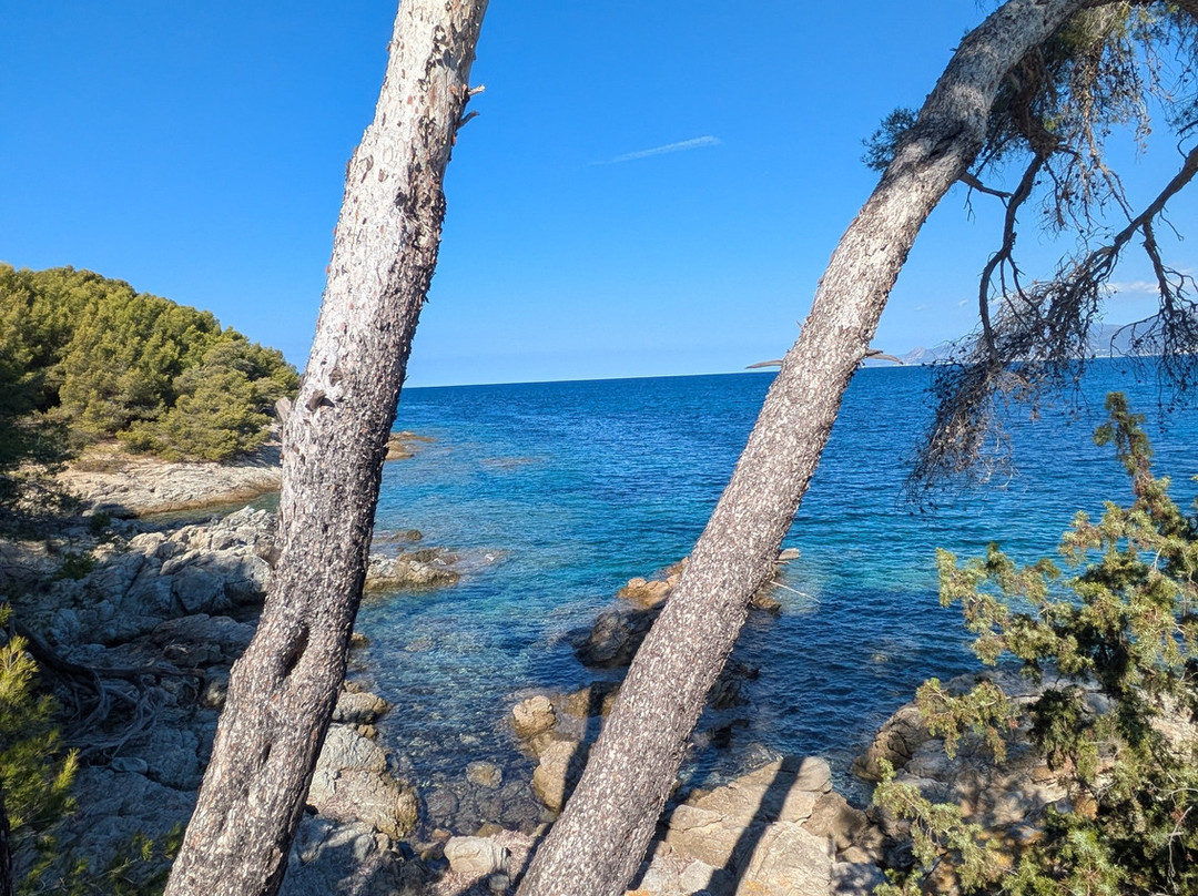 Saleccia Off Road-Saint Florent必去景点