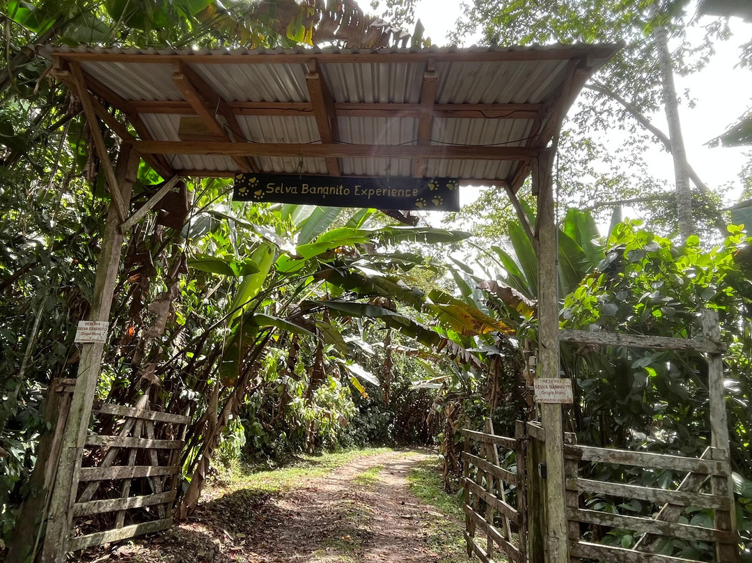 Selva Bananito Lodge