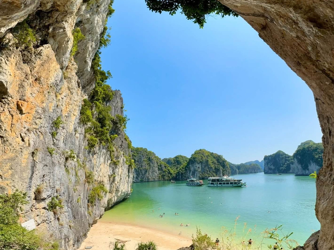 Blue Swimmer Cruises-Cat Ba Town必去景点