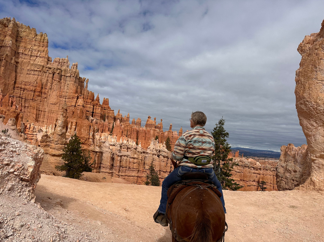 Canyon Trail Rides-特罗皮克必去景点