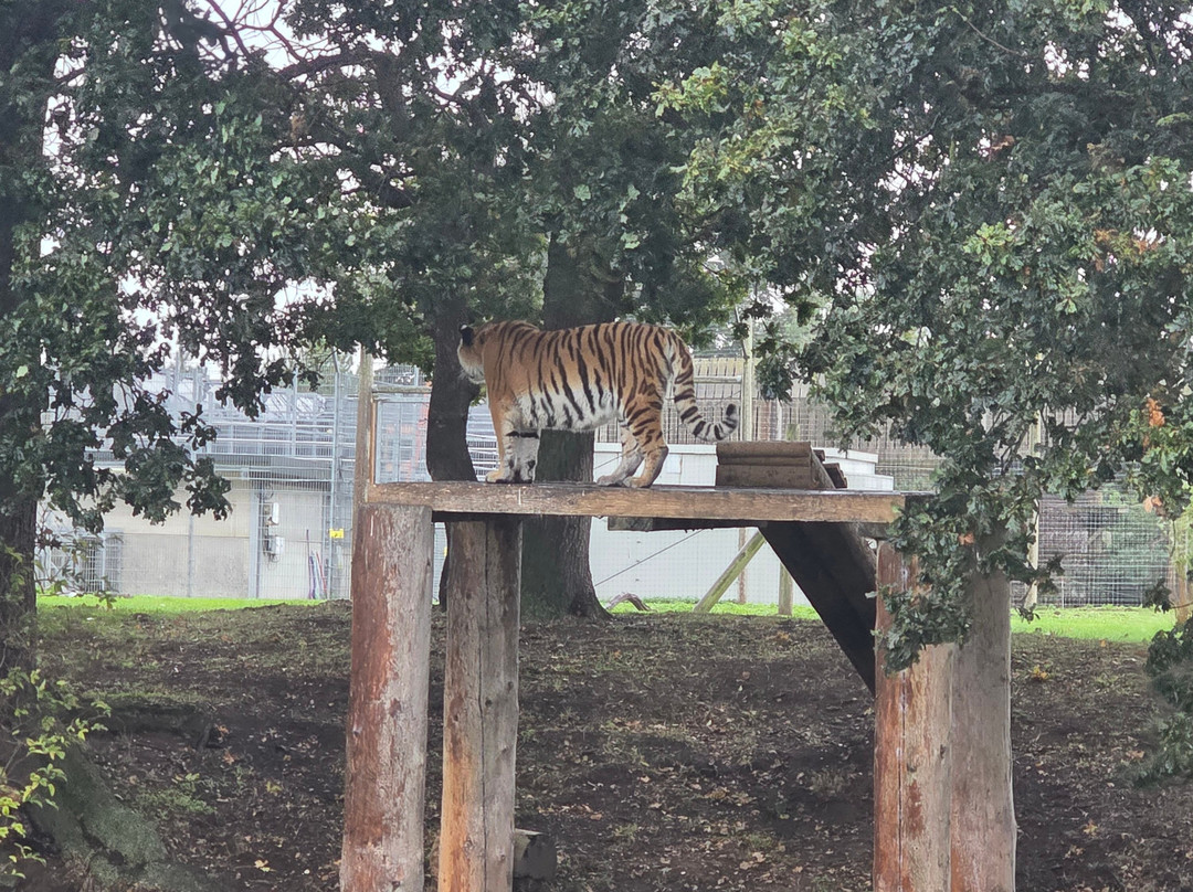Yorkshire Wildlife Park-Auckley必去景点