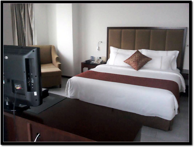 海口宝发胜意酒店（国贸中心店）-客卧