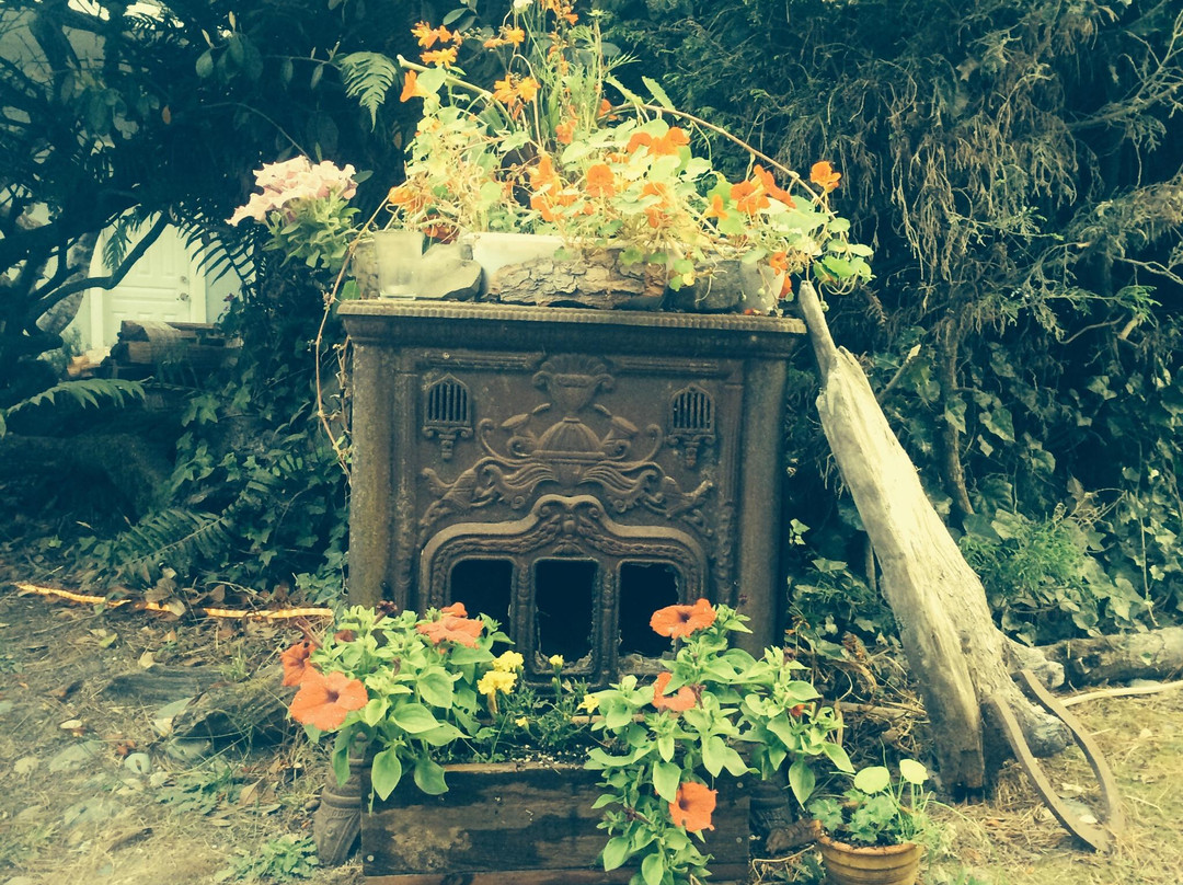 Trinidad酒店住宿-Sea Cliff Motel