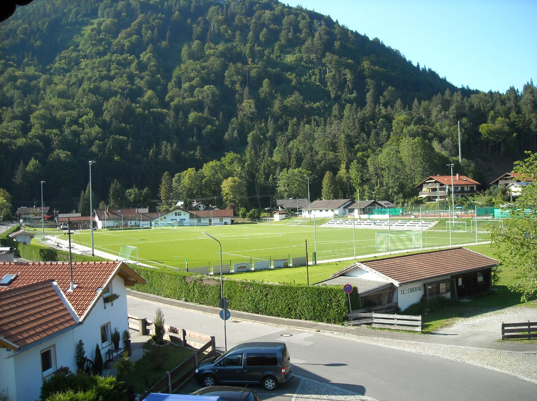 阿尔卑斯霍夫酒店