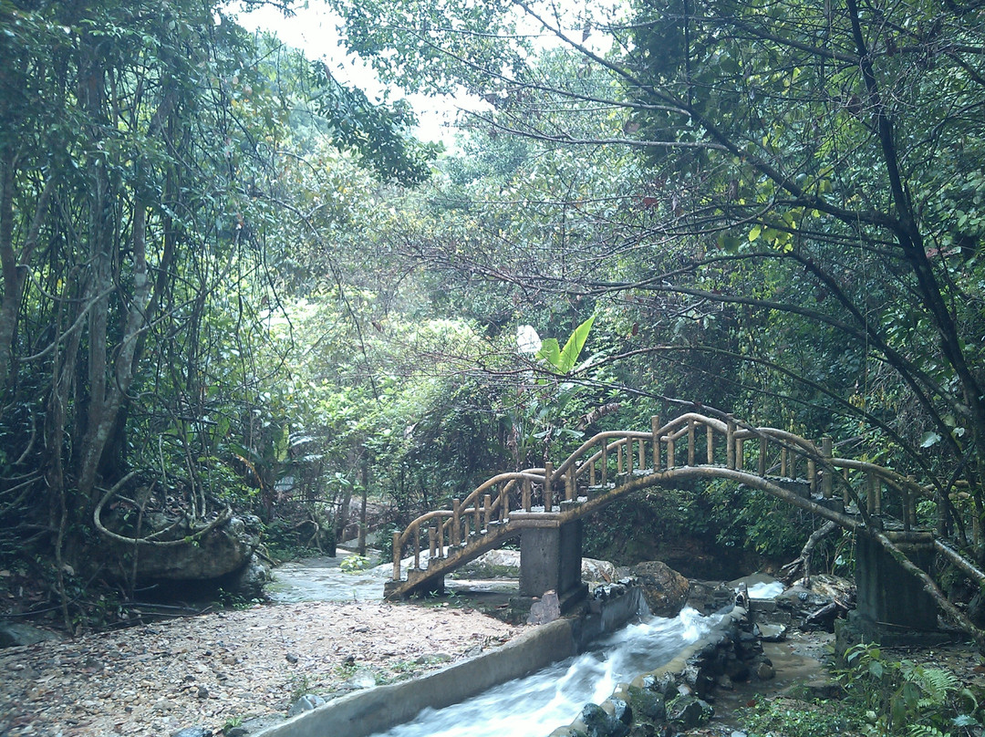 桂山原始森林景点图片