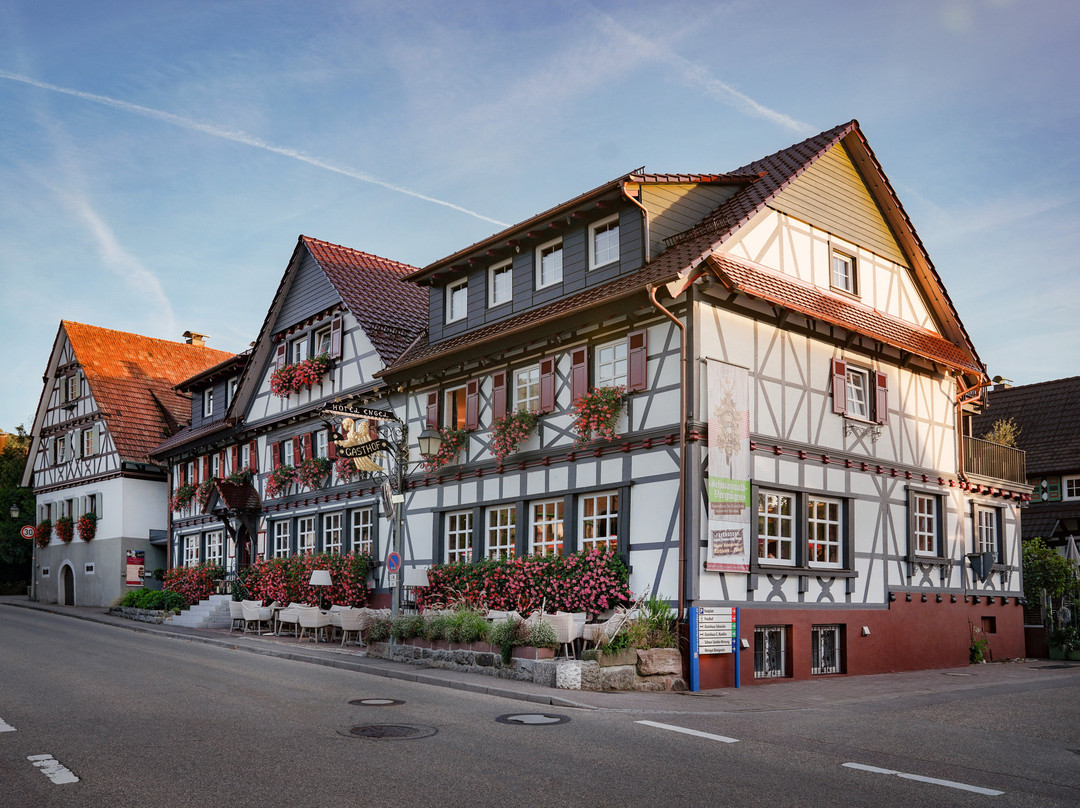 Hotel Engel