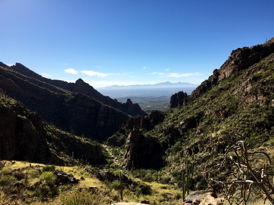 Ventana Canyon Hiking Trail景点图片