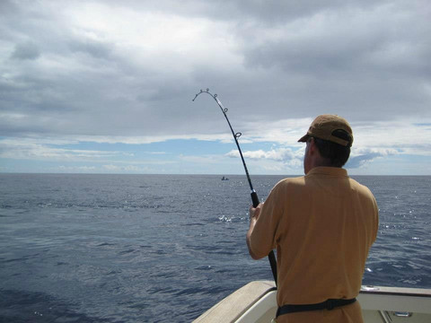 Madeira Sport Fishing