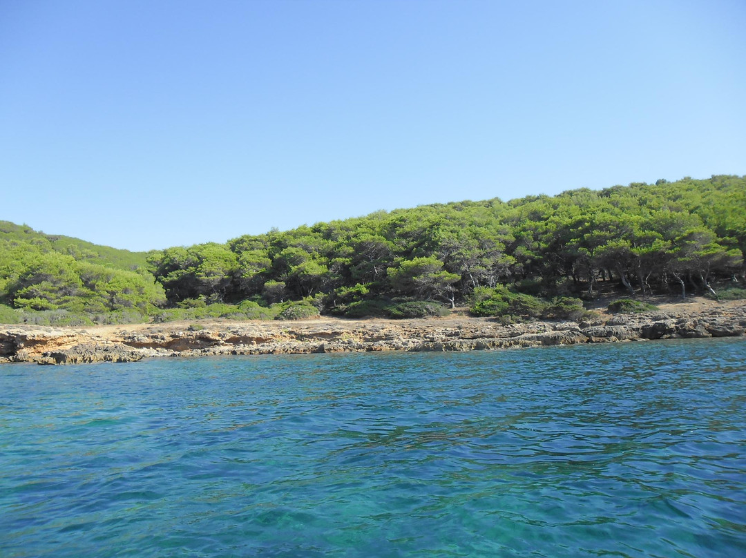 Porto Conte旅游景点-Port Conte Marina