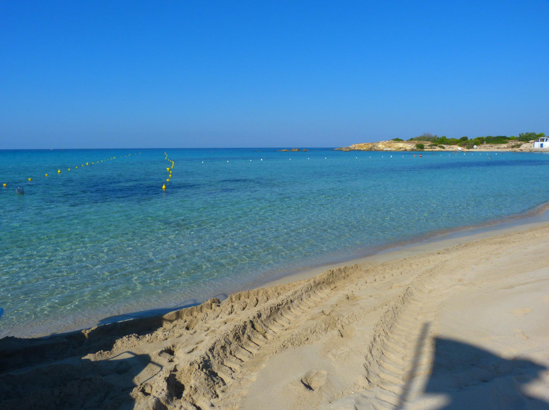 Spiaggia di Lido Silvana景点图片