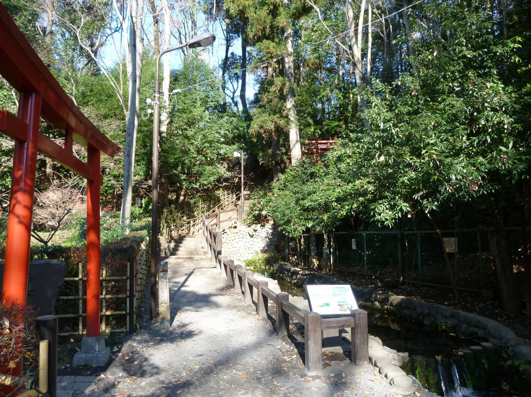 Otaka no Michi Spring Park景点图片