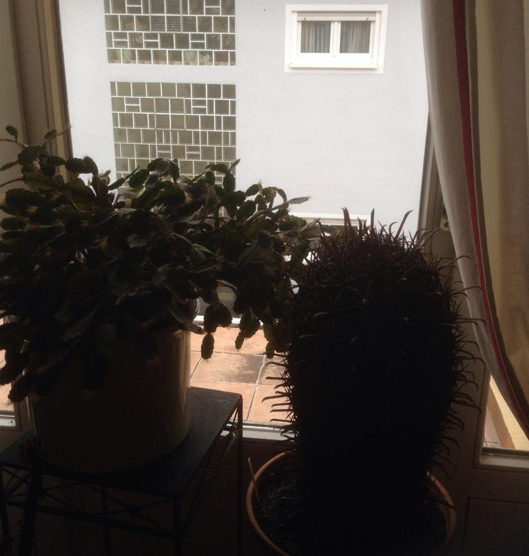 Landgasthof Kranz主图