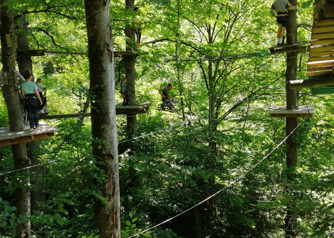 Kletterwald Staufen景点图片