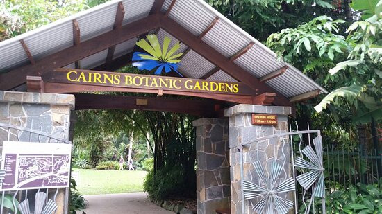 Cairns Botanical Gardens景点图片