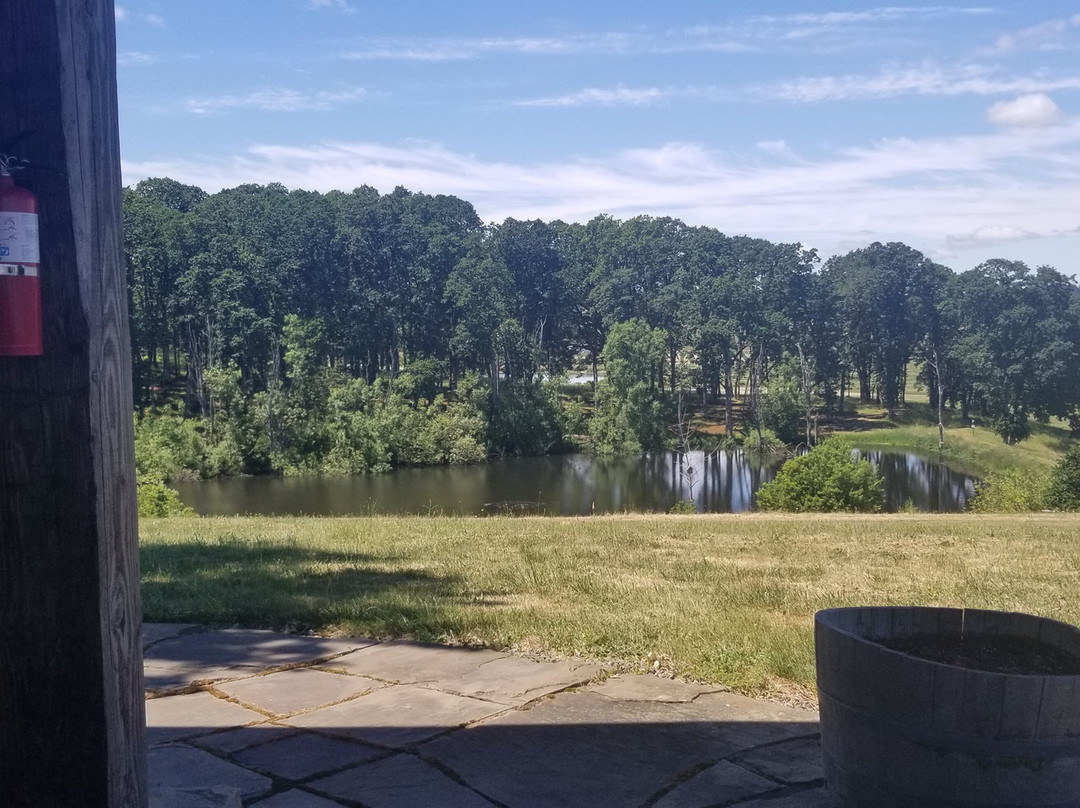 Andante Vineyard-Dallas必去景点