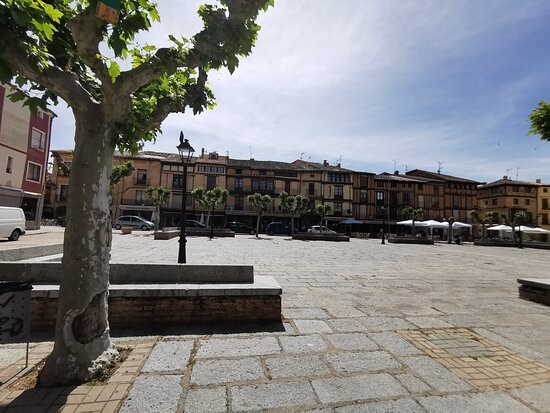 Plaza Mayor o Porticada景点图片