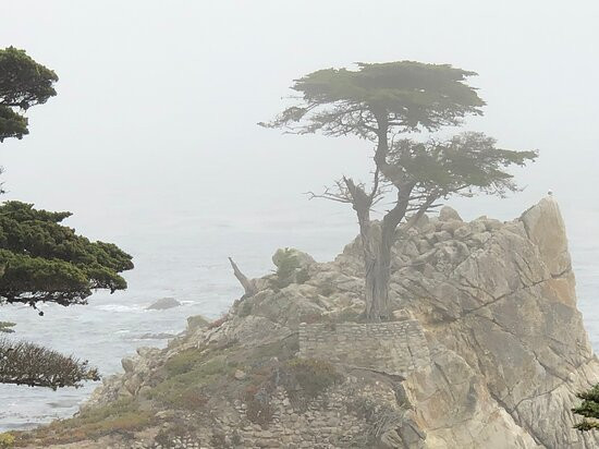 Big Sur Tours and More景点图片