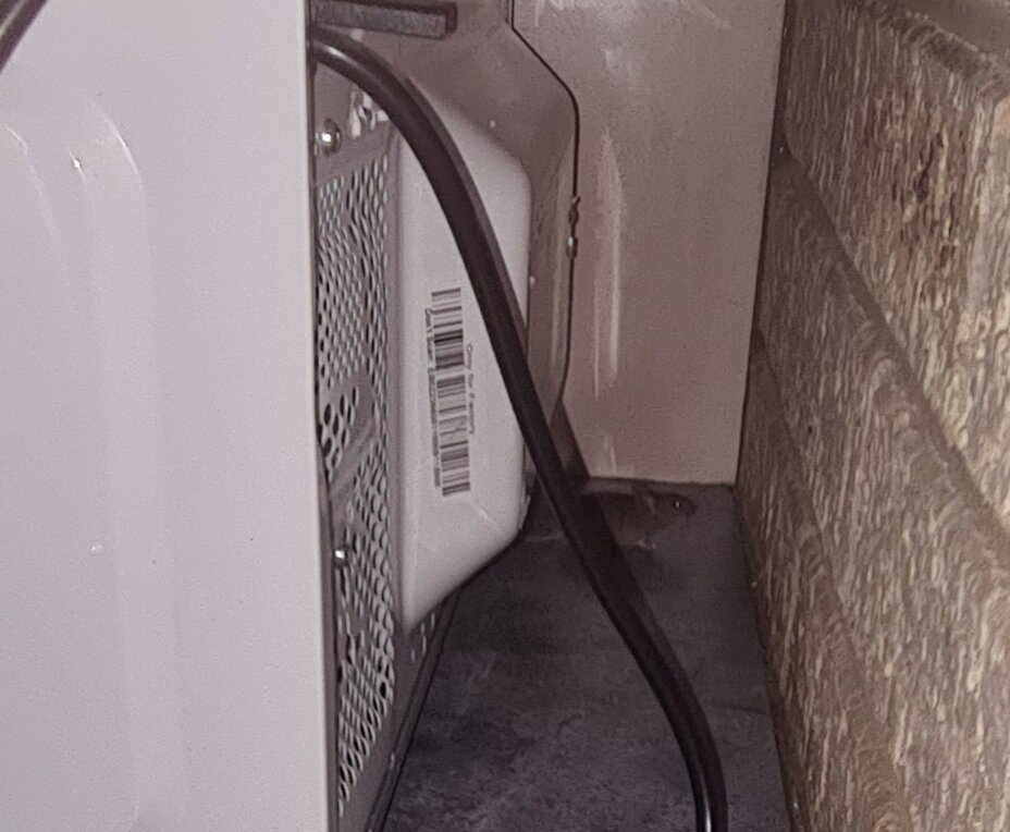 The Jolly Swagman Motor Inn主图